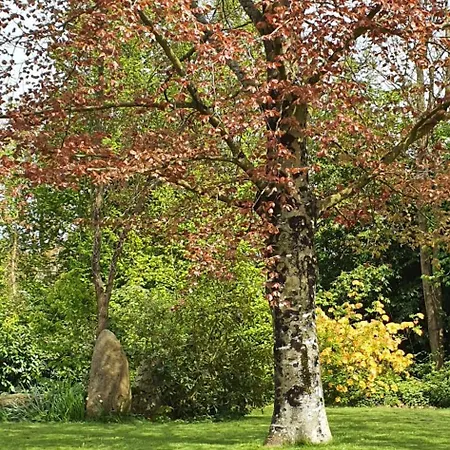 Casa de Férias Château De Montmireil Canisy