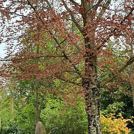 Château De Montmireil Casa de Férias