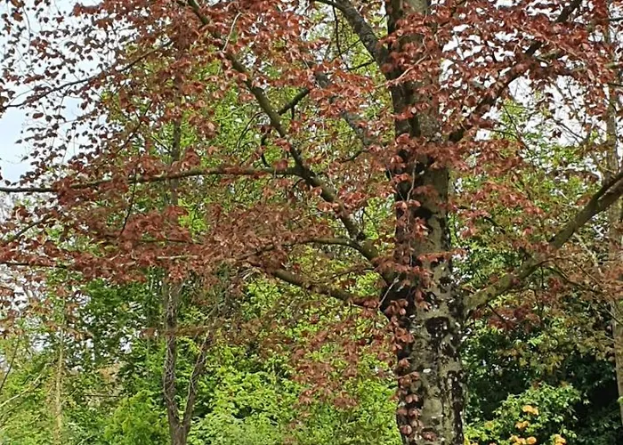 Chateau De Montmireil Feriehus